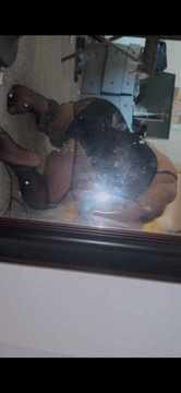 Wet Wet Latina Filipino ready Now Escorts