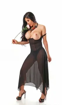 TYSONS CORNER Escorts